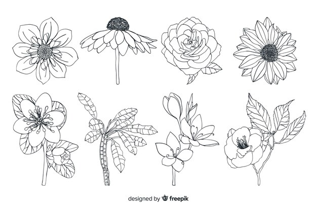Tipos de primer plano de flores silvestres