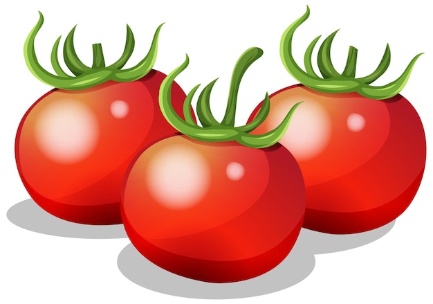 Vector gratuito tomate fresco