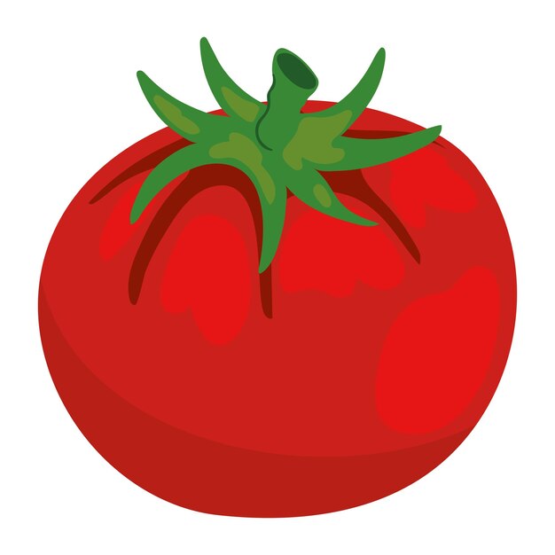 tomate rojo vegetal
