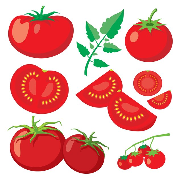 Tomates frescos de vector en estilo plano. Alimentos vegetales saludables, ilustración natural fresca madura orgánica