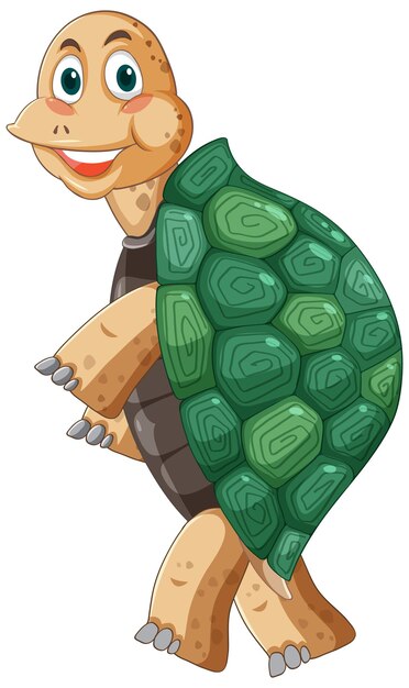 Tortuga con personaje de dibujos animados de concha verde