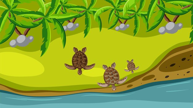 Las tortugas viajan al océano