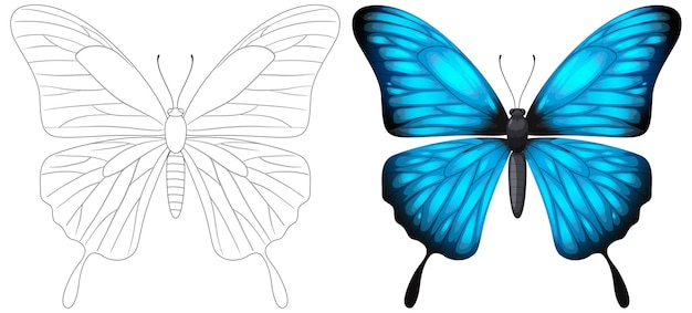 La transformación de la mariposa de la línea al color