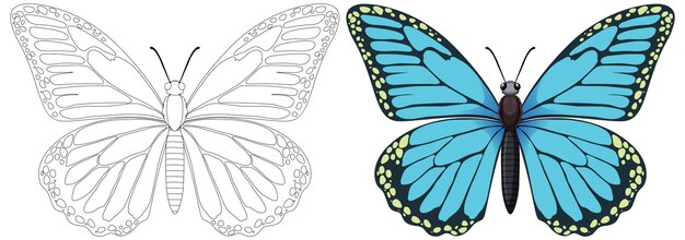 La transformación de la mariposa de la línea al color