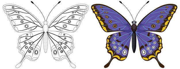 La transformación de la mariposa de la línea al color