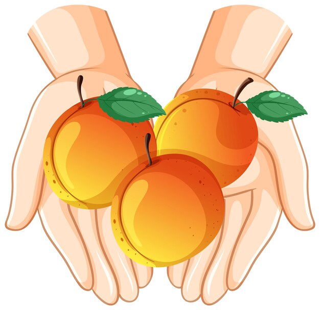 Tres duraznos en las manos