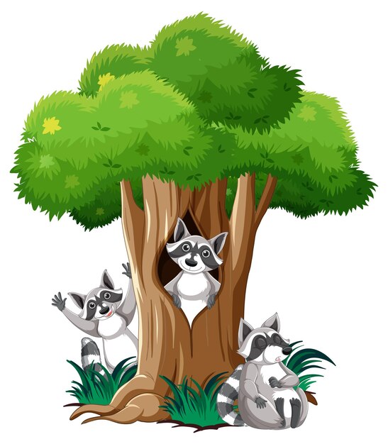 Tres mapaches por el árbol
