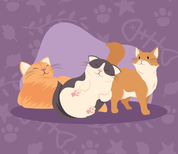 Tres mascotas de gatos pequeños
