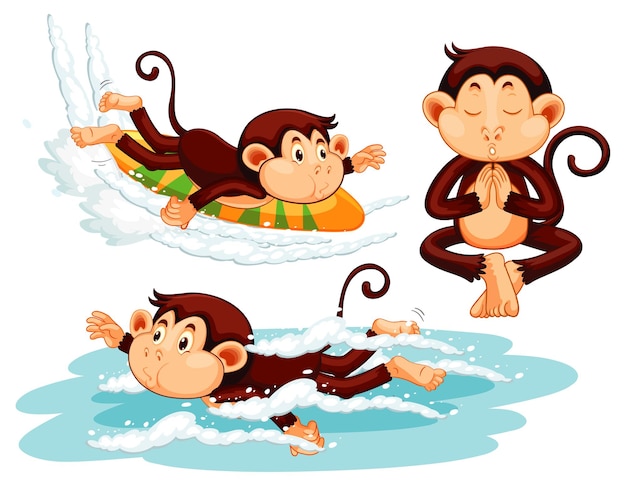 Tres monos haciendo diferentes actividades.