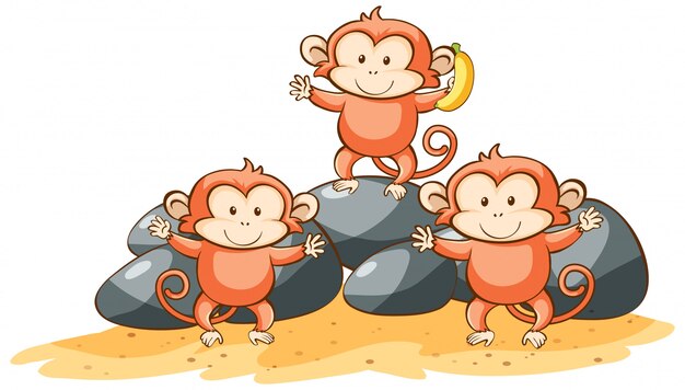 Tres monos sobre fondo blanco.