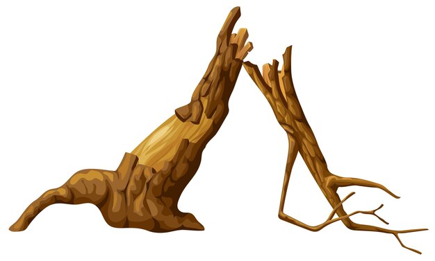 Tronco de madera Pieza de madera de dibujos animados Roble roto Arce Cedro