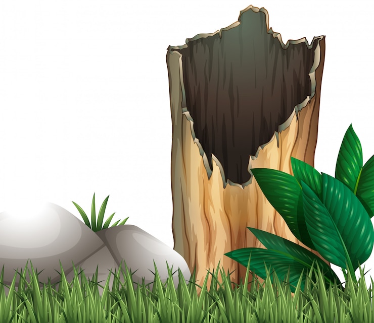 Vector gratuito tronco de madera y roca en pastizales