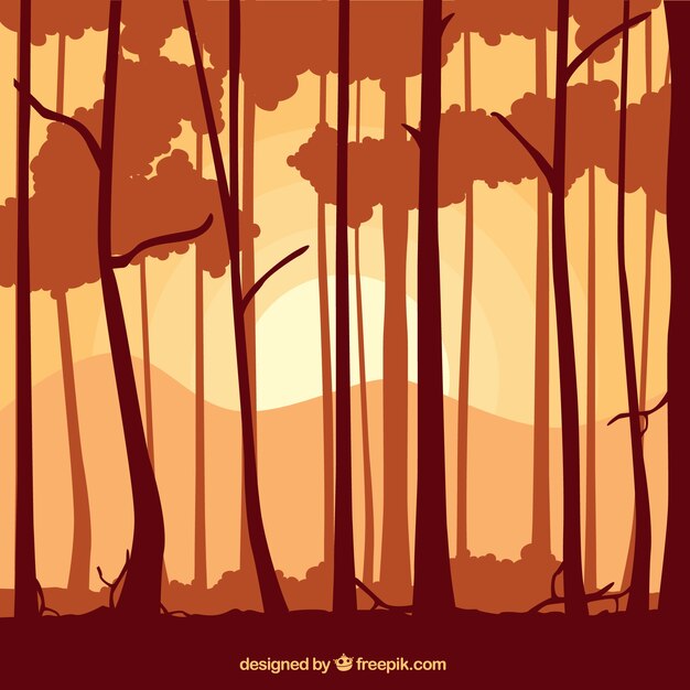 Troncos de árbol de siluetas de fondo en tonos de naranja