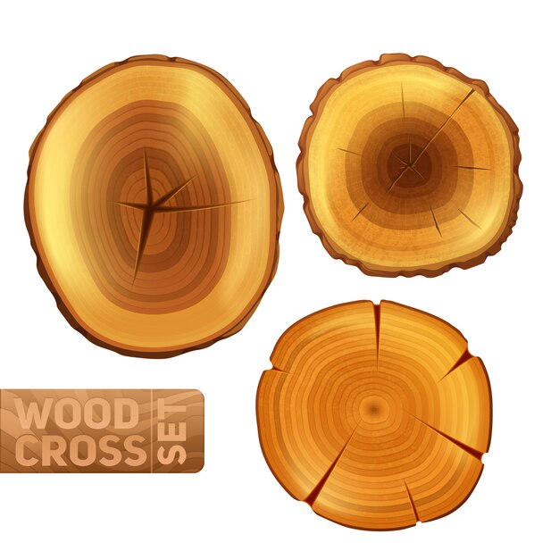 Troncos de madera de sección transversal con textura de círculos anuales.