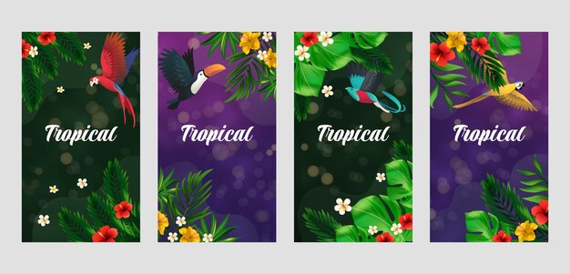 Vector gratuito tropical realista