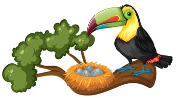 Vector gratuito tucán y nido de pájaro en la rama