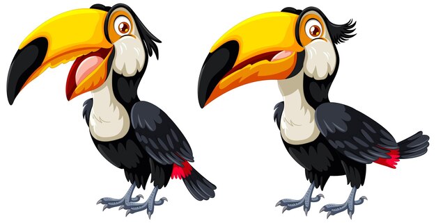 Tucanos coloridos en estilo vectorial