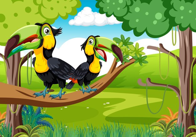 Tucanos tropicales en una rama de la selva
