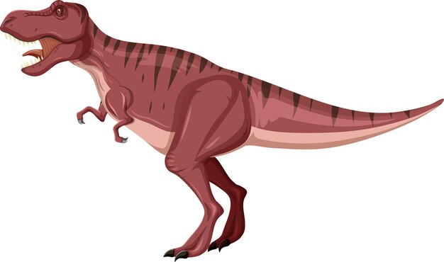 Tyrannosaurus rex dinosaurio sobre fondo blanco.