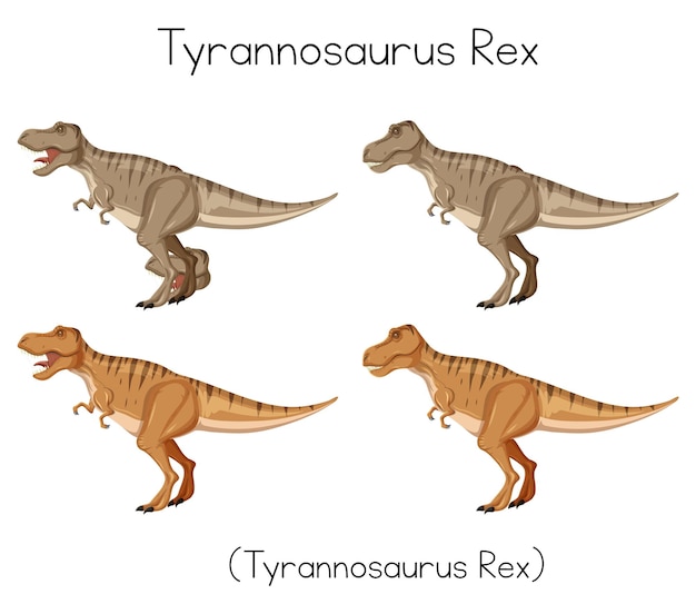 Tyrannosaurus Rex wordcard sobre fondo blanco.