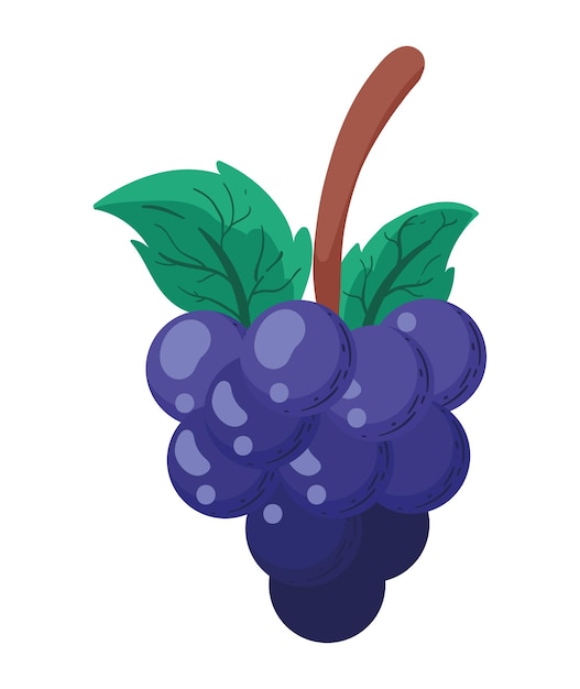 Vector gratuito uvas frescas fruta icono saludable