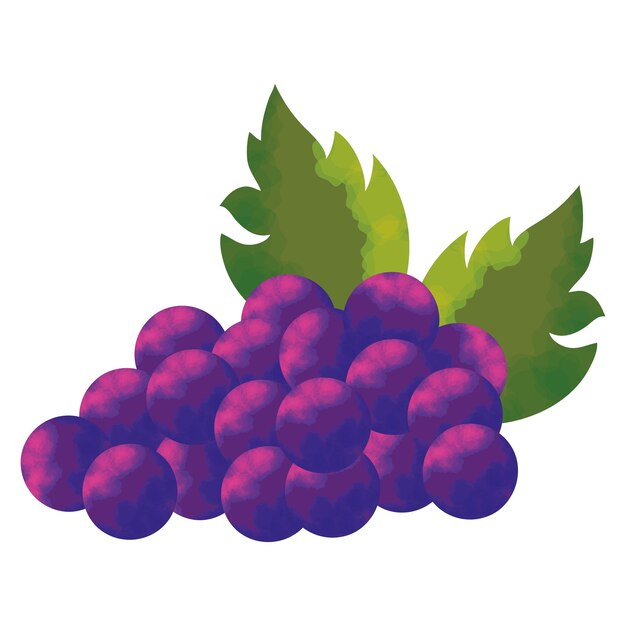 uvas frescas fruta saludable