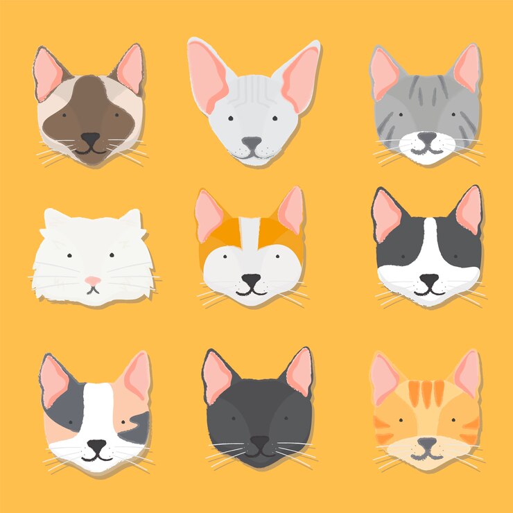 Vector gratuito v60-pla-kala-61-animales