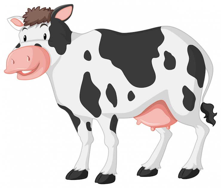 Vector gratuito una vaca linda con una gran sonrisa en blanco