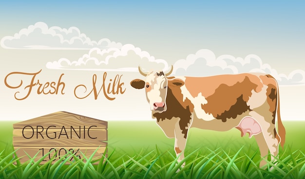 Una vaca con manchas marrones mirando a la cámara con un prado de fondo. Leche fresca ecológica.