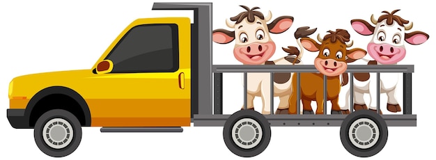 Vector gratuito las vacas viajan en una camioneta