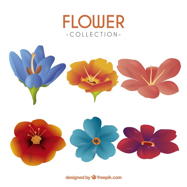 Varias flores coloridas en estilo realista