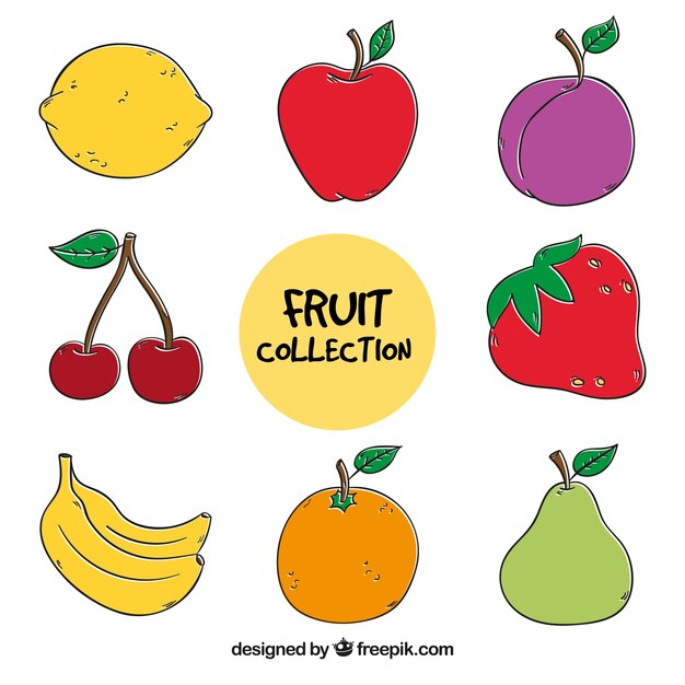 Varias frutas dibujadas a mano 
