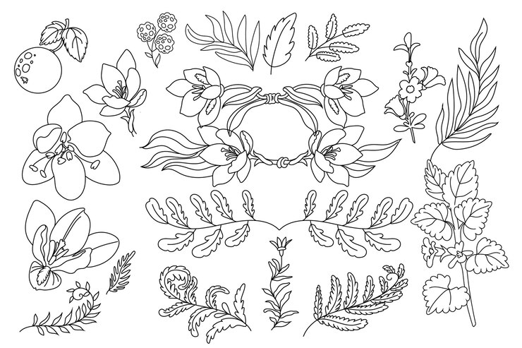 Vector gratuito varias ilustraciones florales de arte de línea dibujadas a mano