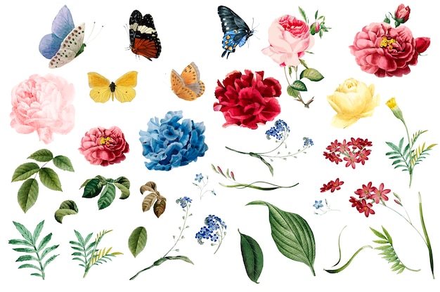 Varias ilustraciones románticas de flores y hojas