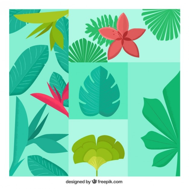 Vector gratuito varias plantas exóticas y flores