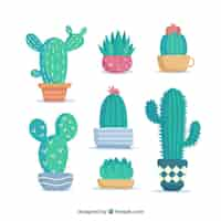 Vector gratuito variedad adorable de cactus