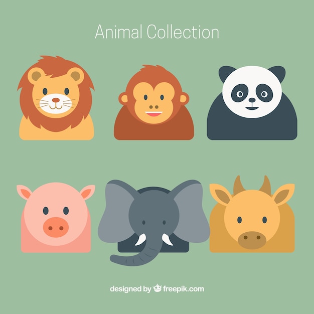 Variedad de animales en diseño plano