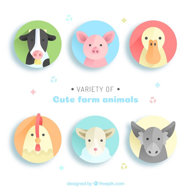 Variedad de animales de granja bonitos
