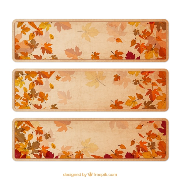 Variedad de banners otoñales
