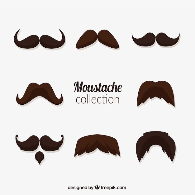 Variedad de bigotes para movember