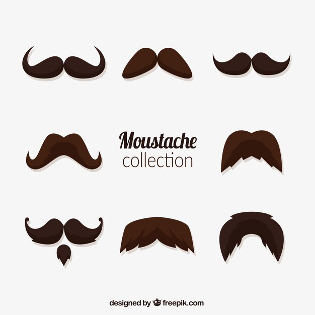 Variedad de bigotes para movember