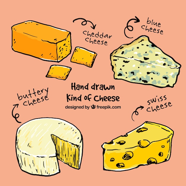 Vector gratuito variedad de bocetos de queso