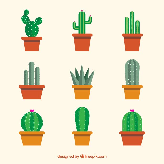 Variedad de cactus en diseño plano