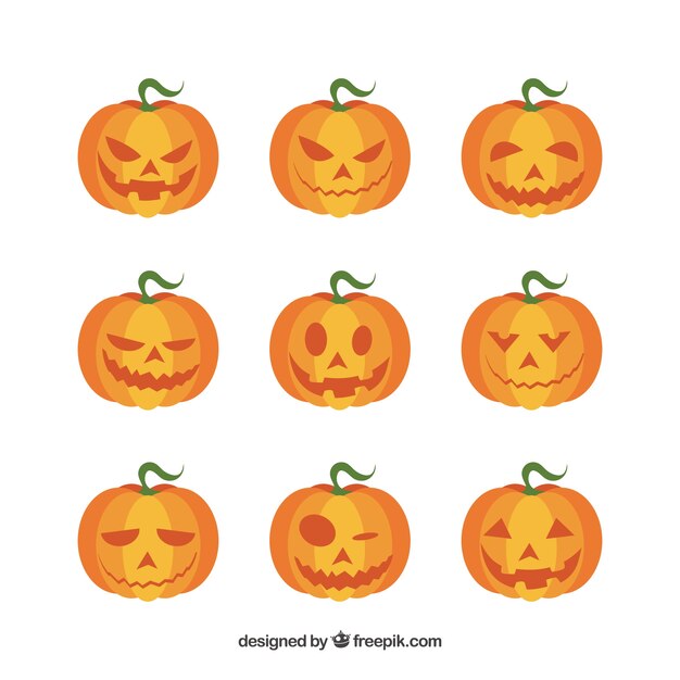 Variedad de calabazas de halloween 
