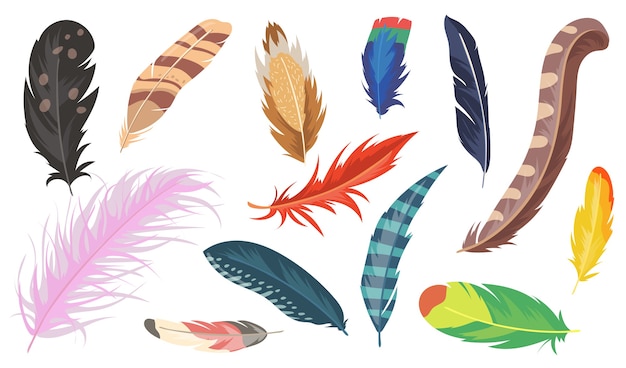 Variedad de conjunto de elementos planos de plumas de colores. Dibujos animados de avestruz brillante, faisán y loro colección de ilustraciones vectoriales aisladas. Concepto de decoración y plumas de aves