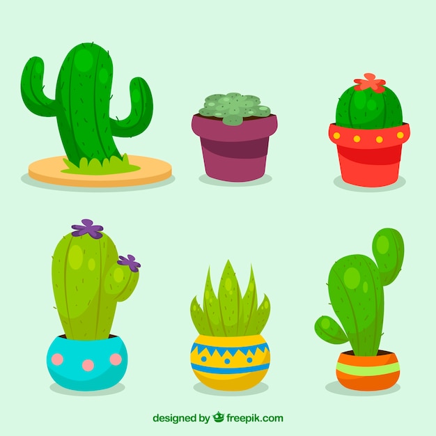 Variedad divertida de cactus con diseño plano