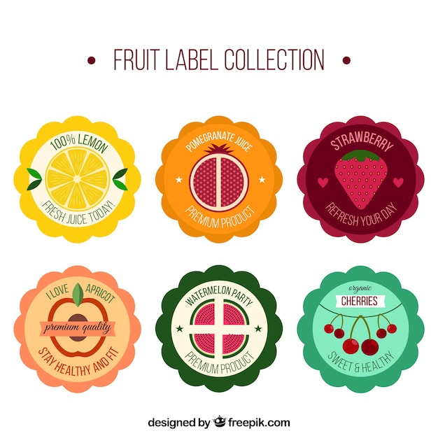 Variedad de etiquetas de frutas en diseño plano