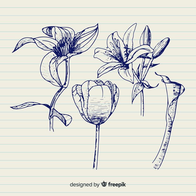 Variedad de flores en diseño dibujado a mano.