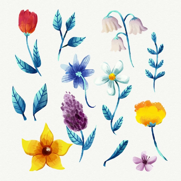 Variedad de flores y hojas de primavera.
