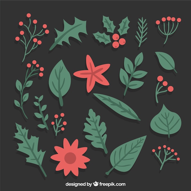 Vector gratuito variedad de flores de navidad y hojas